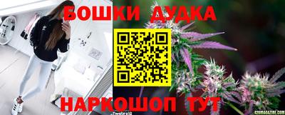 стафф Свободный