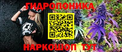 стафф Свободный