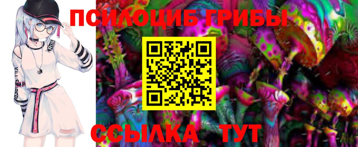 где можно купить наркотик  Псилоцибиновые грибы MAGIC MUSHROOMS  Вход с VPN  Семилуки  Псилоцибиновые грибы Cubensis 
