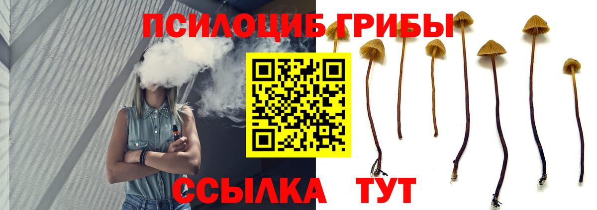 Галлюциногенные грибы Cubensis Семилуки